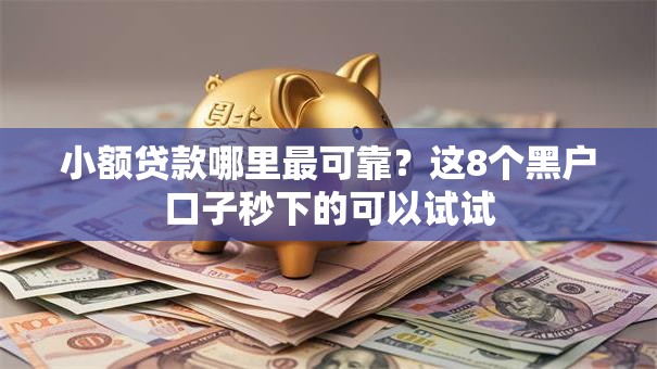 小额贷款哪里最可靠?这8个黑户口子秒下的可以试试 小额贷款哪里最可靠?这8个黑户口子秒下的可以试试