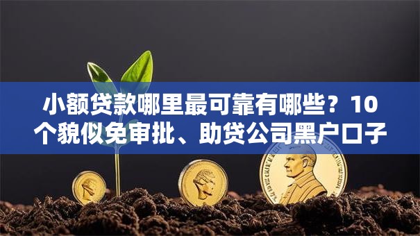 小额贷款哪里最可靠有哪些?10个貌似免审批、助贷公司黑户口子有什么合集 小额贷款哪里最可靠有哪些?10个貌似免审批、助贷公司黑户口子有什么合集