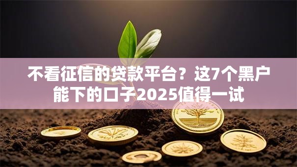 不看征信的贷款平台?这7个黑户能下的口子2025值得一试 不看征信的贷款平台?这7个黑户能下的口子2025值得一试