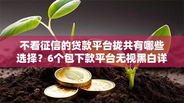 不看征信的贷款平台拢共有哪些选择?6个包下款平台无视黑白详解 不看征信的贷款平台拢共有哪些选择?6个包下款平台无视黑白详解