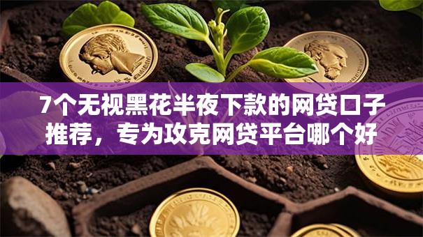 7个无视黑花半夜下款的网贷口子推荐,专为攻克网贷平台哪个好下款难题 7个无视黑花半夜下款的网贷口子推荐,专为攻克网贷平台哪个好下款难题