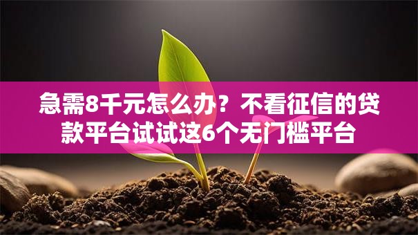 急需8千元怎么办?不看征信的贷款平台试试这6个无门槛平台 急需8千元怎么办?不看征信的贷款平台试试这6个无门槛平台