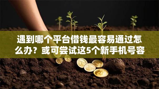 遇到哪个平台借钱最容易通过怎么办?或可尝试这5个新手机号容易下款的口子 遇到哪个平台借钱最容易通过怎么办?或可尝试这5个新手机号容易下款的口子