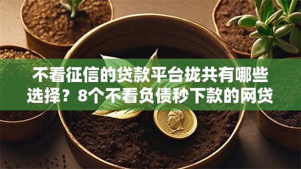 不看征信的贷款平台拢共有哪些选择?8个不看负债秒下款的网贷平台详解 不看征信的贷款平台拢共有哪些选择?8个不看负债秒下款的网贷平台详解