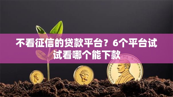 不看征信的贷款平台？6个平台试试看哪个能下款