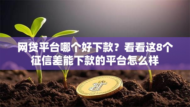 网贷平台哪个好下款？看看这8个征信差能下款的平台怎么样