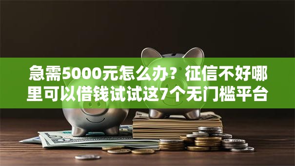 急需5000元怎么办？征信不好哪里可以借钱试试这7个无门槛平台