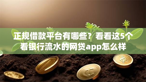 正规借款平台有哪些?看看这5个看银行流水的网贷app怎么样 正规借款平台有哪些?看看这5个看银行流水的网贷app怎么样