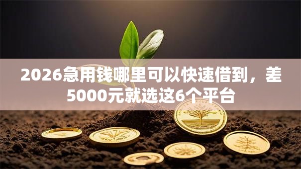 2026急用钱哪里可以快速借到,差5000元就选这6个平台 2026急用钱哪里可以快速借到,差5000元就选这6个平台