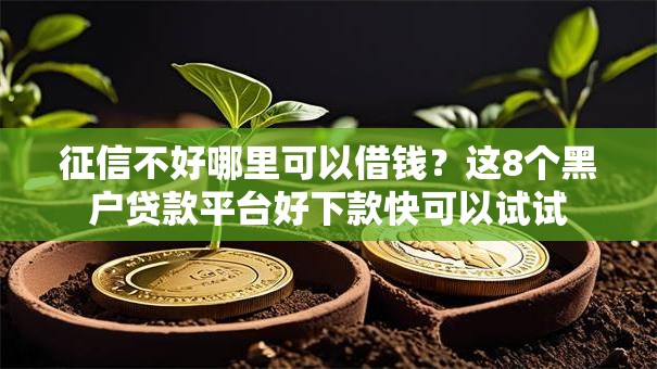 征信不好哪里可以借钱?这8个黑户贷款平台好下款快可以试试 征信不好哪里可以借钱?这8个黑户贷款平台好下款快可以试试