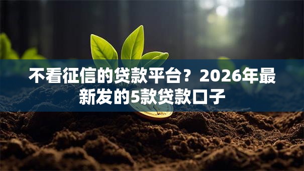 不看征信的贷款平台?2026年最新发的5款贷款口子 不看征信的贷款平台?2026年最新发的5款贷款口子