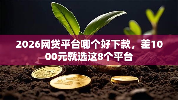 2026网贷平台哪个好下款,差1000元就选这8个平台 2026网贷平台哪个好下款,差1000元就选这8个平台