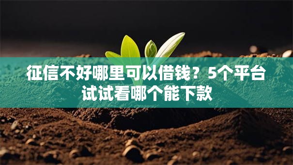 征信不好哪里可以借钱?5个平台试试看哪个能下款 征信不好哪里可以借钱?5个平台试试看哪个能下款