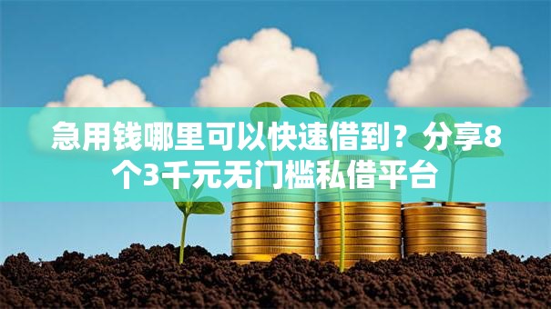 急用钱哪里可以快速借到?分享8个3千元无门槛私借平台 急用钱哪里可以快速借到?分享8个3千元无门槛私借平台