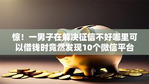 惊！一男子在解决征信不好哪里可以借钱时竟然发现10个微信平台借钱，事后分享了出来
