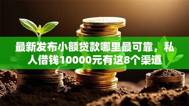 最新发布小额贷款哪里最可靠，私人借钱10000元有这8个渠道