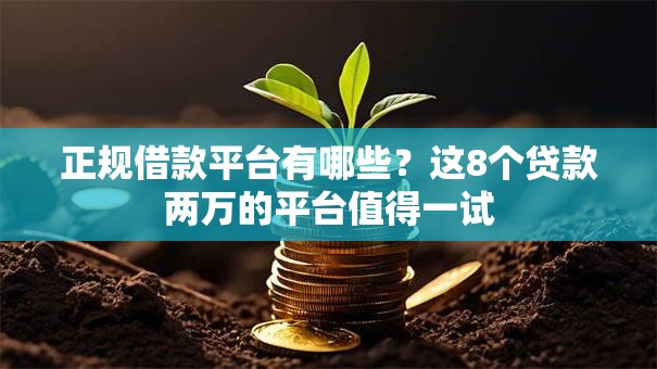 正规借款平台有哪些?这8个贷款两万的平台值得一试 正规借款平台有哪些?这8个贷款两万的平台值得一试