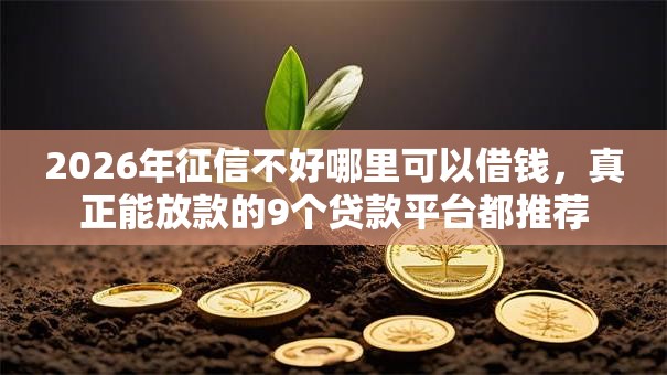 2026年征信不好哪里可以借钱，真正能放款的9个贷款平台都推荐