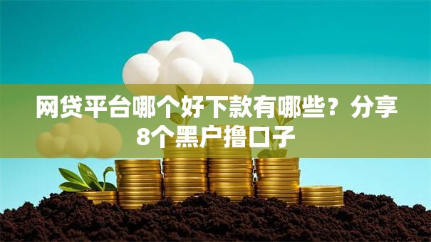网贷平台哪个好下款有哪些？分享8个黑户撸口子