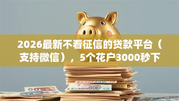 2026最新不看征信的贷款平台（支持微信），5个花户3000秒下款app无私分享