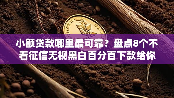小额贷款哪里最可靠?盘点8个不看征信无视黑白百分百下款给你参考 小额贷款哪里最可靠?盘点8个不看征信无视黑白百分百下款给你参考
