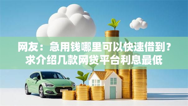 网友:急用钱哪里可以快速借到?求介绍几款网贷平台利息最低 网友:急用钱哪里可以快速借到?求介绍几款网贷平台利息最低