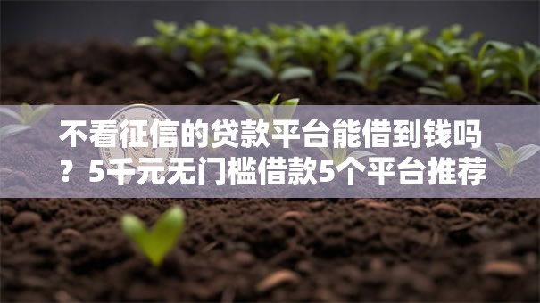 不看征信的贷款平台能借到钱吗？5千元无门槛借款5个平台推荐