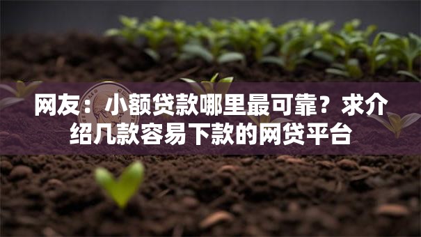 网友：小额贷款哪里最可靠？求介绍几款容易下款的网贷平台