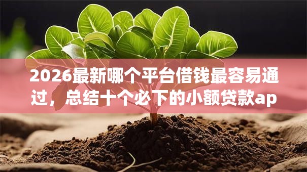 2026最新哪个平台借钱最容易通过,总结十个必下的小额贷款app! 2026最新哪个平台借钱最容易通过,总结十个必下的小额贷款app!