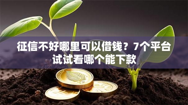 征信不好哪里可以借钱?7个平台试试看哪个能下款 征信不好哪里可以借钱?7个平台试试看哪个能下款