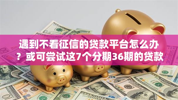 遇到不看征信的贷款平台怎么办?或可尝试这7个分期36期的贷款平台 遇到不看征信的贷款平台怎么办?或可尝试这7个分期36期的贷款平台