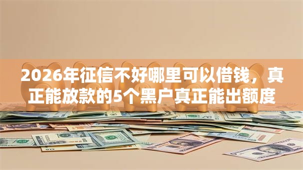 2026年征信不好哪里可以借钱，真正能放款的5个黑户真正能出额度的软件推荐