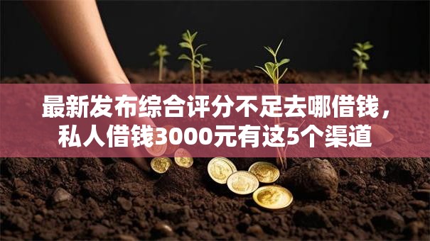最新发布综合评分不足去哪借钱，私人借钱3000元有这5个渠道