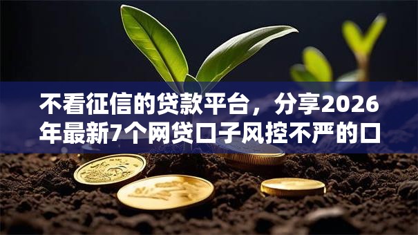不看征信的贷款平台，分享2026年最新7个网贷口子风控不严的口子