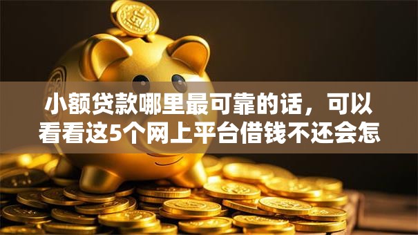 小额贷款哪里最可靠的话，可以看看这5个网上平台借钱不还会怎样