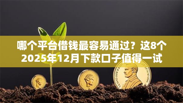 哪个平台借钱最容易通过?这8个2025年12月下款口子值得一试 哪个平台借钱最容易通过?这8个2025年12月下款口子值得一试