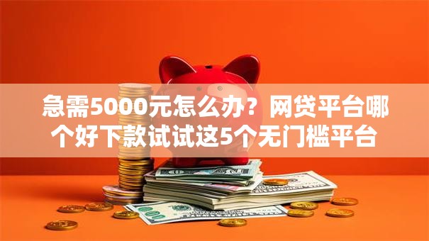 急需5000元怎么办？网贷平台哪个好下款试试这5个无门槛平台