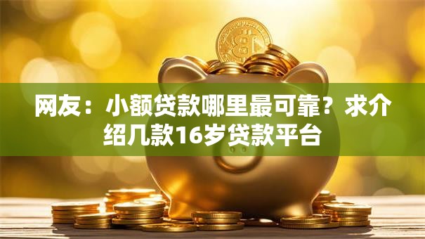 网友:小额贷款哪里最可靠?求介绍几款16岁贷款平台 网友:小额贷款哪里最可靠?求介绍几款16岁贷款平台