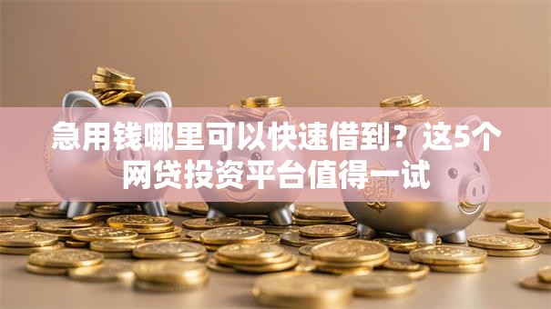 急用钱哪里可以快速借到?这5个网贷投资平台值得一试 急用钱哪里可以快速借到?这5个网贷投资平台值得一试