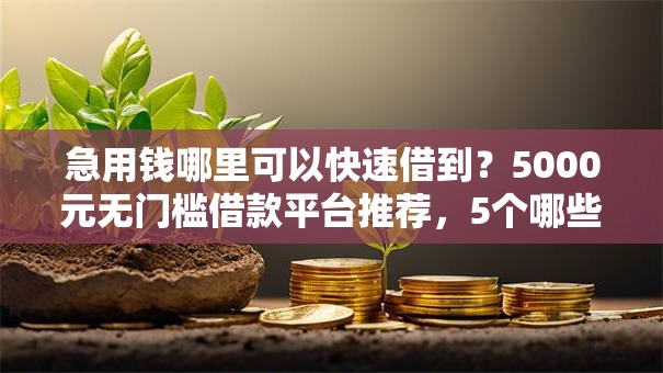 急用钱哪里可以快速借到？5000元无门槛借款平台推荐，5个哪些网贷平台容易贷款盘点