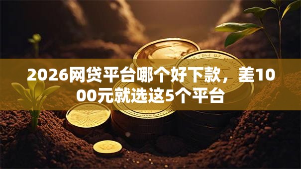 2026网贷平台哪个好下款,差1000元就选这5个平台 2026网贷平台哪个好下款,差1000元就选这5个平台
