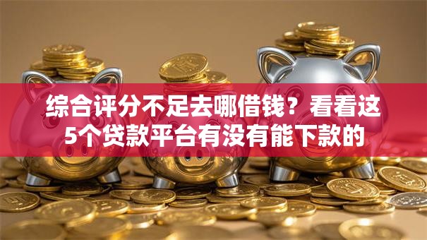 综合评分不足去哪借钱？看看这5个贷款平台有没有能下款的