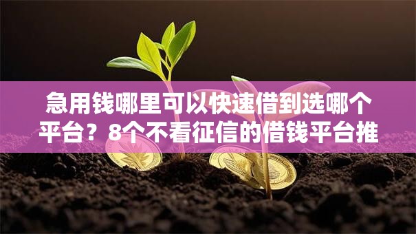 急用钱哪里可以快速借到选哪个平台？8个不看征信的借钱平台推荐
