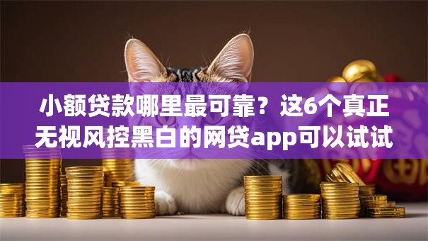 小额贷款哪里最可靠？这6个真正无视风控黑白的网贷app可以试试