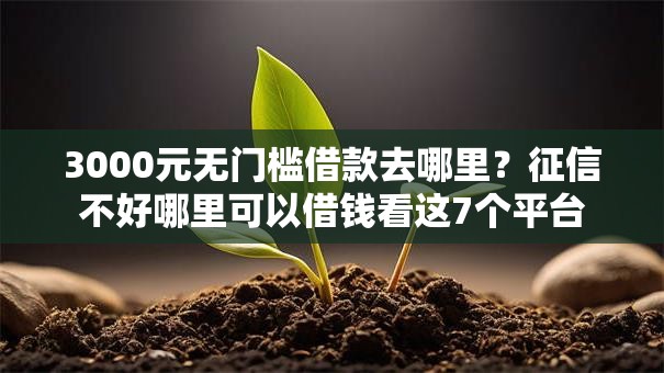3000元无门槛借款去哪里？征信不好哪里可以借钱看这7个平台