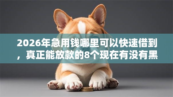 2026年急用钱哪里可以快速借到,真正能放款的8个现在有没有黑户下款的口子推荐 2026年急用钱哪里可以快速借到,真正能放款的8个现在有没有黑户下款的口子推荐