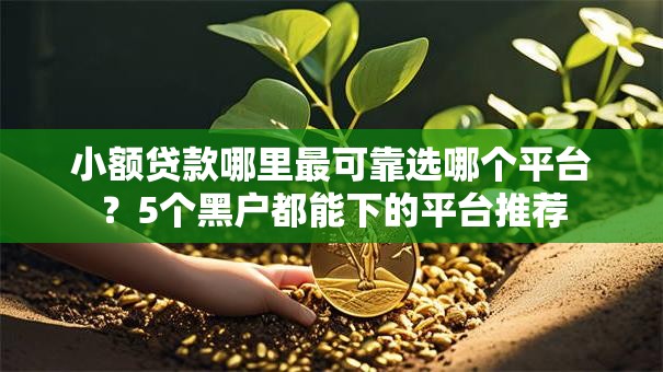 小额贷款哪里最可靠选哪个平台?5个黑户都能下的平台推荐 小额贷款哪里最可靠选哪个平台?5个黑户都能下的平台推荐