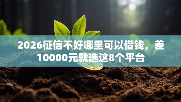 2026征信不好哪里可以借钱，差10000元就选这8个平台