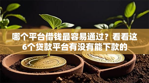 哪个平台借钱最容易通过？看看这6个贷款平台有没有能下款的