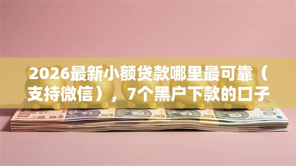 2026最新小额贷款哪里最可靠（支持微信），7个黑户下款的口子无私分享
